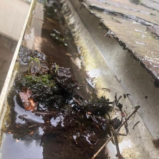 blocked gutter 2